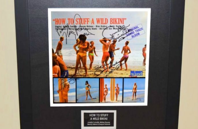 How To Stuff A Wild Bikini Original Soundtrack