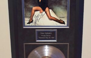 Tina Turner – Private Dancer