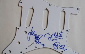 Cream – Signed Pick Guard