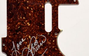 Prince – Signed Pick Guard