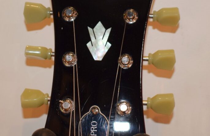 Tom Petty & The Heartbreakers – Epiphone Hollow Body