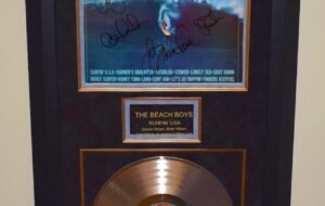 The Beach Boys – Surfin’ USA